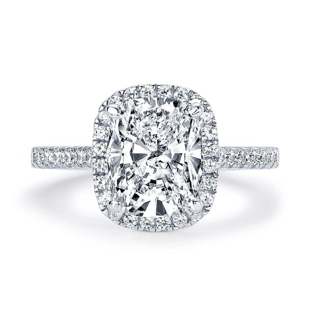 Elite Halo - S925 Zilveren Moissanite Ring Dames 4CT Wit Goud